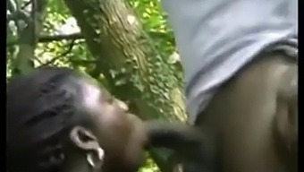 African Ebony Beauty Enjoys Anal Play